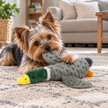 Load image into Gallery viewer, 12" Dotty Friends - Mallard Duck
