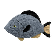 Load image into Gallery viewer, 16" Aqua Cuddles - Blue Tang
