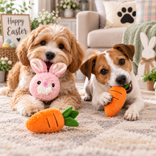 Load image into Gallery viewer, 4" EZ Squeaky Ball Triple Pack - Rabbit &amp; Carrot
