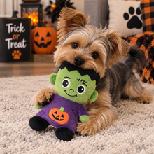 Load image into Gallery viewer, 9" Spooky Friends - Frankenstein
