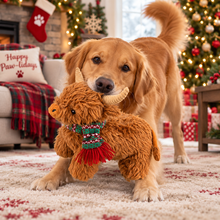 Load image into Gallery viewer, 16" Christmas Golden Highland Cow
