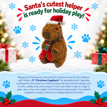 Load image into Gallery viewer, 9" Christmas Capybara

