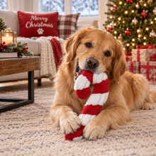 Load image into Gallery viewer, 16" Christmas Candy Cane
