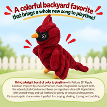 Load image into Gallery viewer, 16" Zoo Friends - Cardinal
