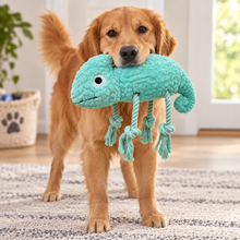 Load image into Gallery viewer, 16" Tuggyz - Chameleon
