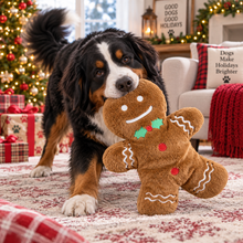 Load image into Gallery viewer, 26" Christmas Cozy Gingerbread Man
