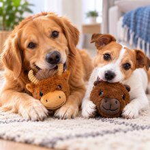 Load image into Gallery viewer, 4" EZ Squeaky Ball Twin Pack - Capybara &amp; Highland Cow
