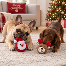 Load image into Gallery viewer, 4" Christmas EZ Squeaky Twin Pack Ball - Santa &amp; Reindeer
