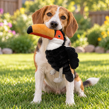 Load image into Gallery viewer, 16" Zoo Friends - Toucan
